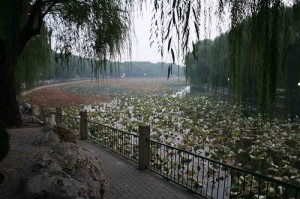 Beihai Park, Beijing by Micheal Kan/Flcker 