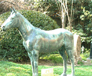 Moeller's Horse
